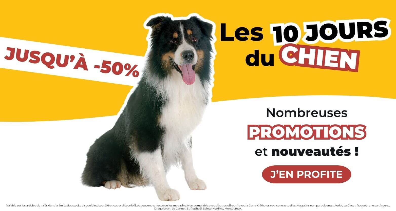 Jusqu'à -5O% de remise sur l'univers chien